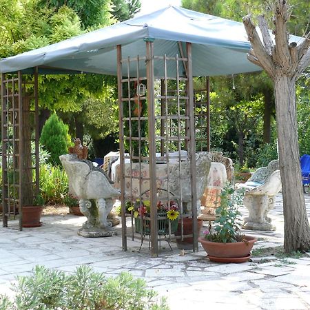 Bed&Breakfast Giardino Agritourist Controguerra エクステリア 写真
